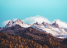 开云体育下载：开启掌上体育新纪元，捕捉每一次赛场热度